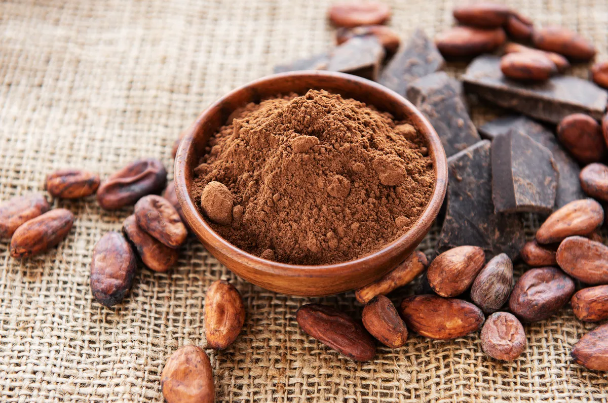 The Health Benefits of Cocoa Flavanols: What You Need to Know